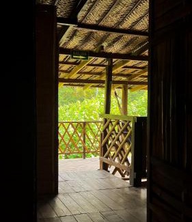 Palomino House | Hostal halaliku tayrona