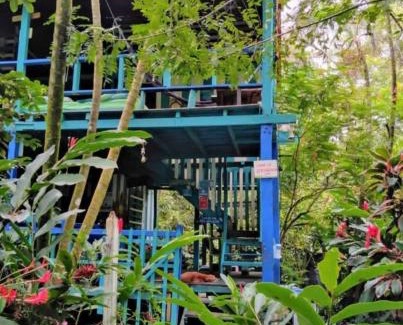 Capurgana House | Hostal La Bohemia