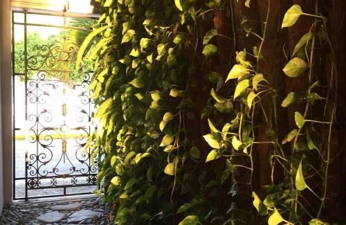 Gutierrez Zamora Hotel | Hostería de Río - C92