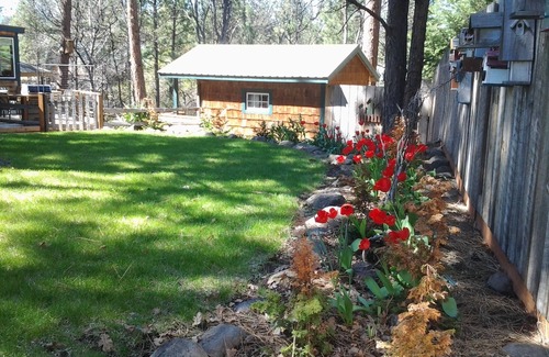 Pine Hollow Cabin | Hot tub, Wi Fi, Pets OK on the canal nice view of reservoir year round-
