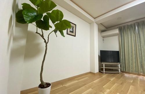 Iwamotocho Apartment | Hotaku House Akihabara #HO1