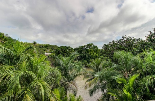 Bullet Tree Falls Hotel | Hotel ∙ 1 bedroom ∙ 4 guests