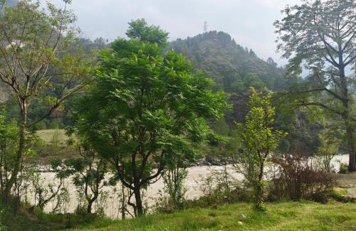 Chamoli Hotel | Hotel Abhishek