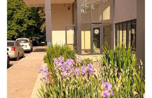 Neptun Hotel | Hotel Agora