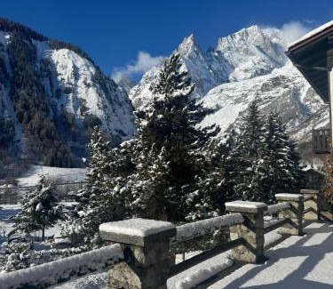 Entreves Hotel | Hotel Aiguille Noire