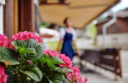 Zweisimmen Nr Gstaad Hotel | Hotel Alphorn