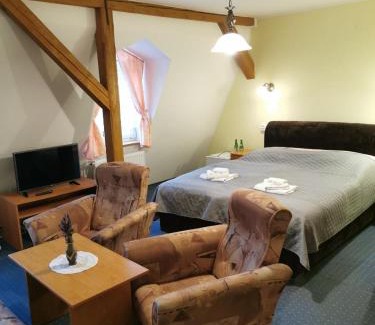 Jevicko Hotel | Hotel Alster