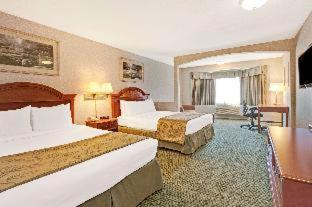 San Bruno Hotel | Hotel Aluxor SFO, Shuttle Service