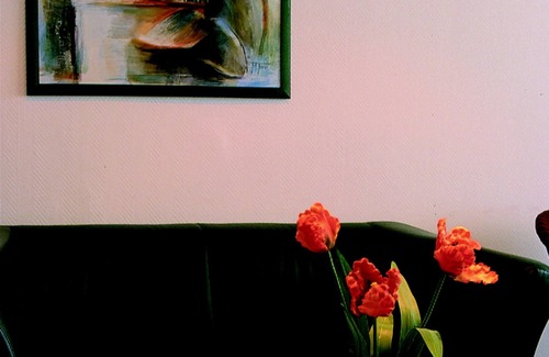 Guestrow Hotel | Hotel Am Tierpark