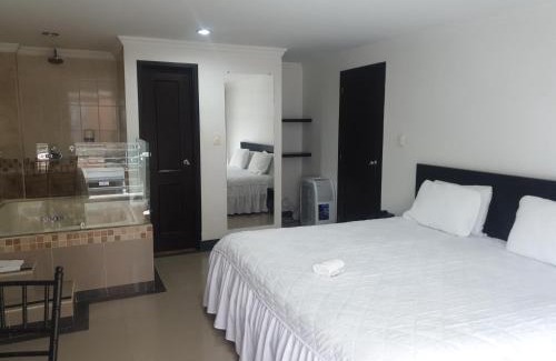Pitalito Hotel | Hotel Andinos Plaza Pitalito