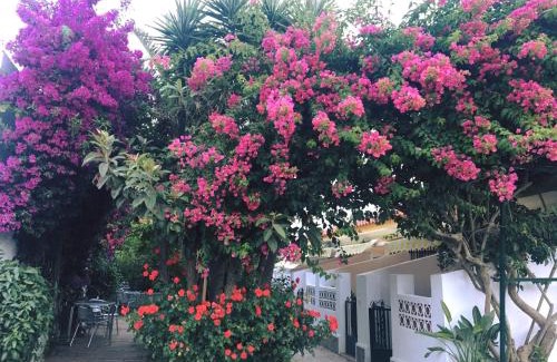 Barrio Nuevo Hotel | Hotel Antonio Conil
