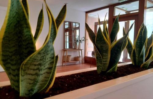 Tafalla Hotel | Hotel Beratxa