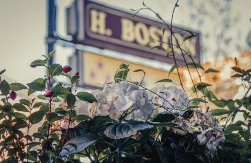 Valverde Hotel | Hotel Boston