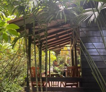 Chilamate Hotel | Hotel Brisas del Rio Guápiles