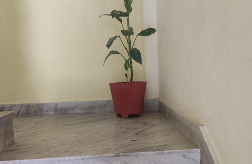Pokhara Hotel | Hotel Buddha Darshan Inn