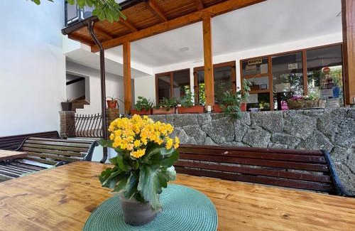 Jupiter Hotel | Hotel Camelia