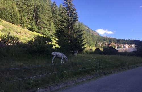 Valsavarenche Hotel | Hotel Camping Grivola