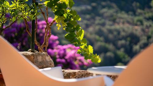 Fornalutx Hotel | Hotel Can Verdera