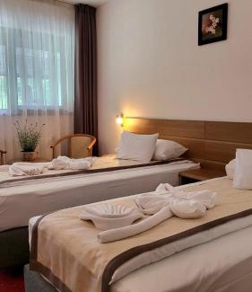 Cioplea Hotel | Hotel Carpați