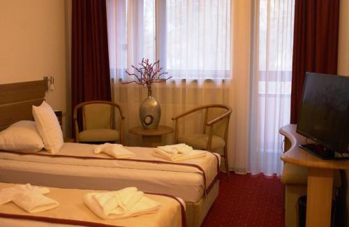 Cioplea Hotel | Hotel Carpați