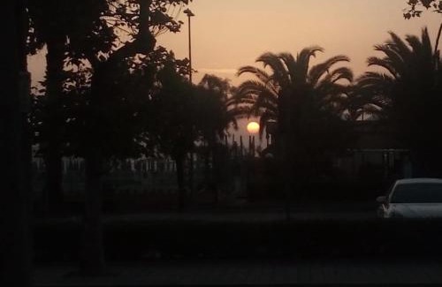 Giulianova Hotel | Hotel Cesare