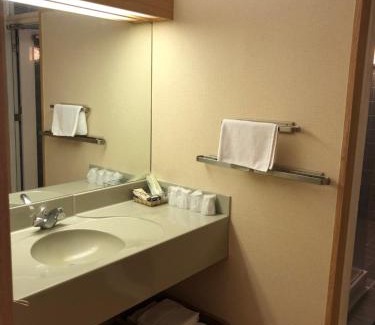 Sayama Hotel | Hotel Civic Inn Sayama