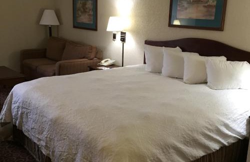 East Syracuse Hotel | Hotel Concord Syracuse, an Ascend Collection Hotel