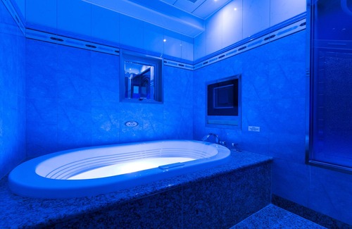 Kabukicho Hotel | HOTEL D-WAVE Shinjuku - Adults Only