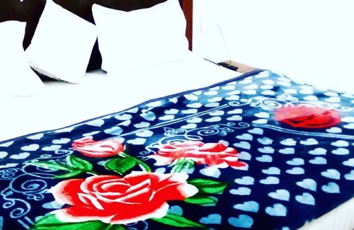 Bhiwani Hotel | Hotel DM Heavens