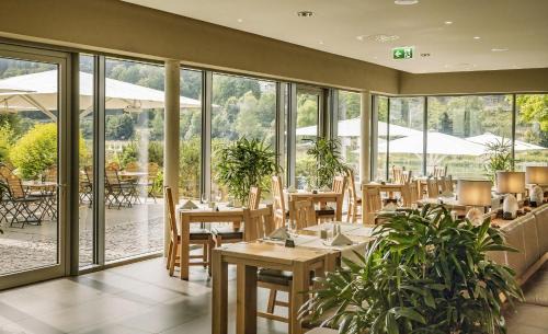 Bad Schandau Hotel | Hotel Elbresidenz an der Therme