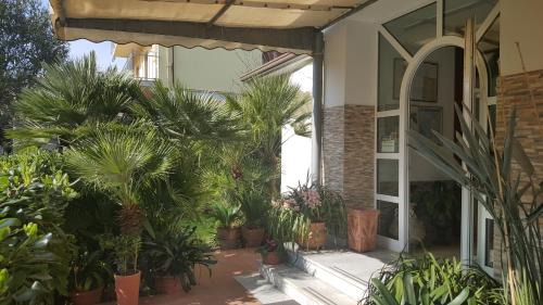 Cinquale Hotel | Hotel Elisabetta