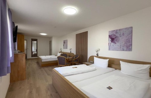 Kappel-Grafenhausen Hotel | Hotel Engel