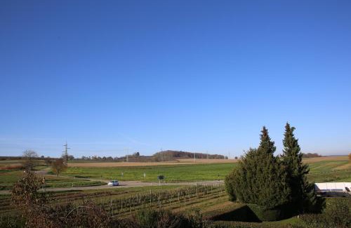 Schallbach Hotel | Hotel Garni Alte Post