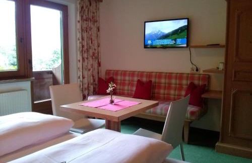 Mayrhofen Hotel | Hotel Garni Erler