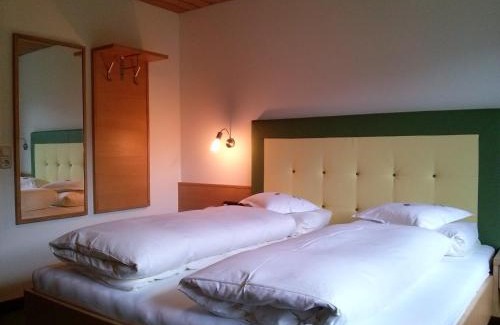Mayrhofen Hotel | Hotel Garni Erler