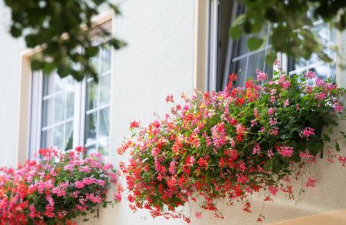 Kolzenburg Hotel | Hotel & Gasthaus Zum Eichenkranz