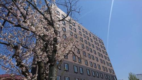 Hakata-ku Hotel | Hotel Grand View Fukuoka-Kuko