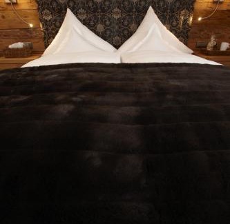 Pettneu am Arlberg Hotel | Hotel Gridlon