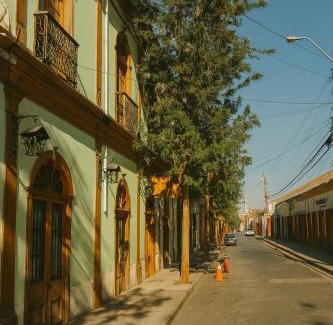 Vicuna Bed & Breakfast | Hotel Halley & Vicuña, Valle de Elqui