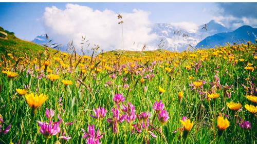 Borgata Sestriere Hotel | Hotel Hermitage
