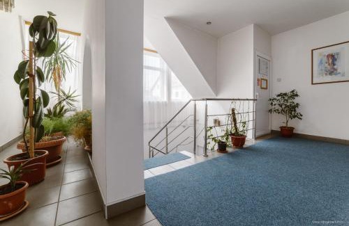 Tirnaveni Hotel | Hotel Iris