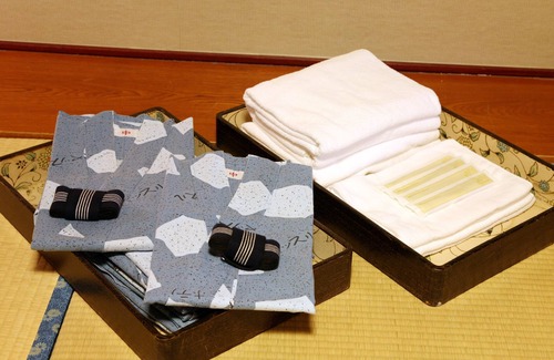 Kyomachi Onsen Hotel | Hotel Kirishima Castle