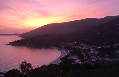 Cavoli Hotel | Hotel la Conchiglia