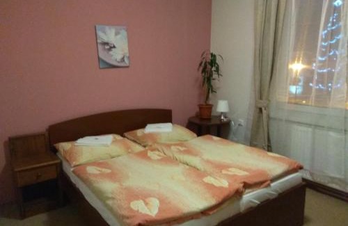 Novy Hrozenkov Hotel | Hotel Lidový dům