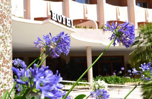 Grau i Platja Hotel | Hotel Los Robles