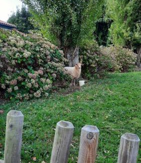Saint-Pee-sur-Nivelle Hotel | Hotel Mendionde