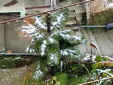 Almora Hotel | Hotel Milam Inn