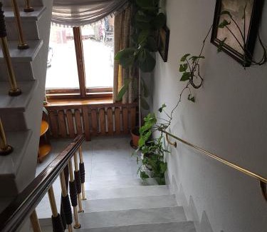 Kocherinovo Hotel | Hotel Mishel