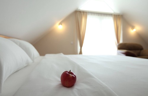 Novi Banovci Hotel | Hotel Novella Uno