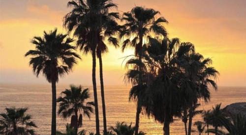 Kupang Hotel | Hotel O Amor Kost